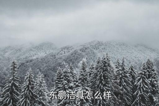  東鵬潔具怎么樣