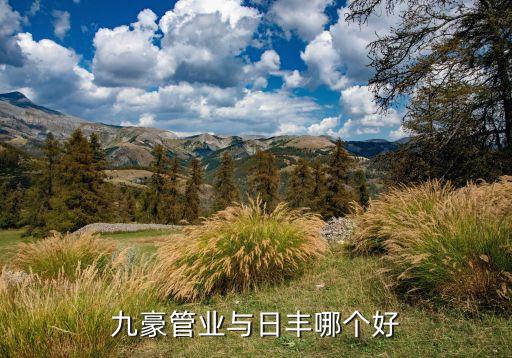 九豪管業(yè)與日豐哪個好