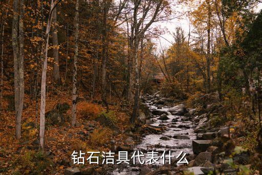 鉆石潔具代表什么