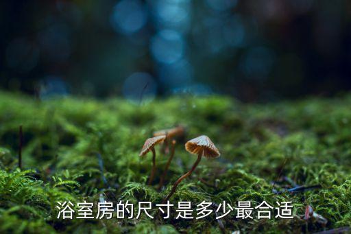 衛(wèi)浴套房平面圖片大全集