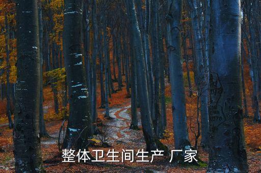 整體衛(wèi)生間生產(chǎn) 廠家