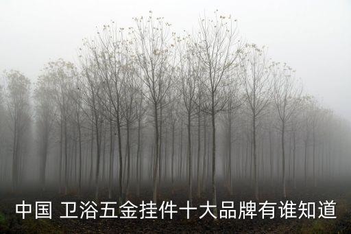 中國 衛(wèi)浴五金掛件十大品牌有誰知道