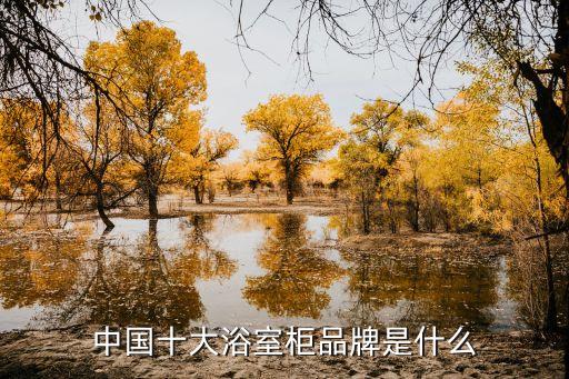 現(xiàn)代原木衛(wèi)浴柜價(jià)格圖片