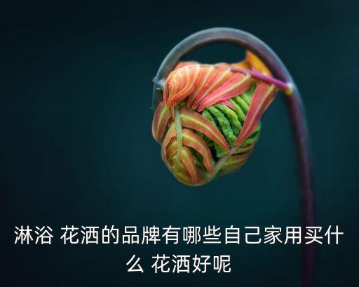 衛(wèi)浴花灑清單圖片大全高清
