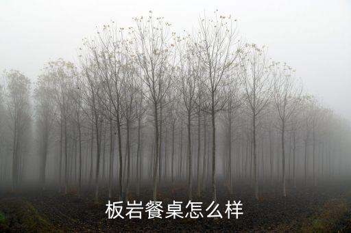 上海巖板衛(wèi)浴加工廠家電話