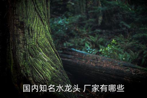 國內(nèi)知名水龍頭 廠家有哪些