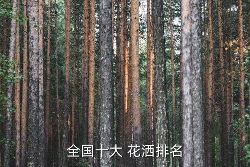 全國十大 花灑排名