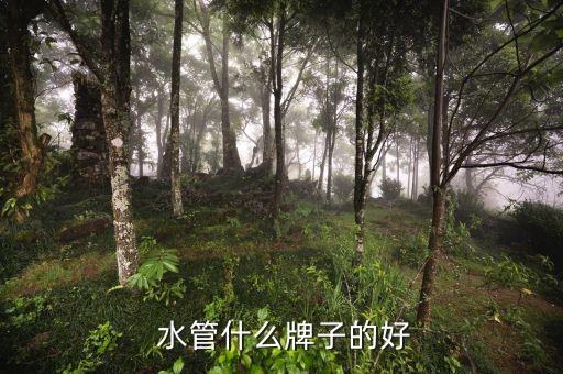  水管什么牌子的好