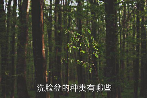 衛(wèi)浴掛壁式洗臉盆圖片大全,toto衛(wèi)浴洗臉盆圖片