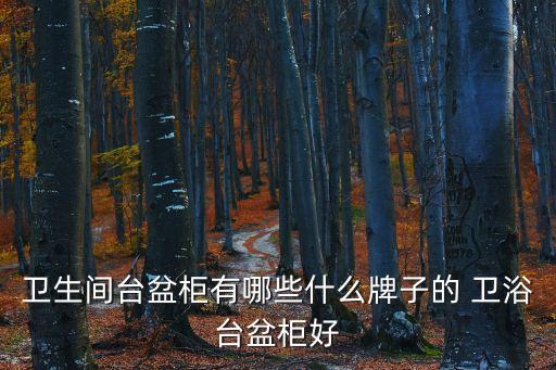 衛(wèi)生間臺盆柜有哪些什么牌子的 衛(wèi)浴臺盆柜好