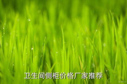 合肥衛(wèi)浴柜鋁材品牌批發(fā)