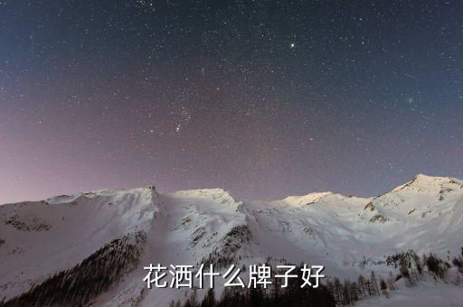  花灑什么牌子好