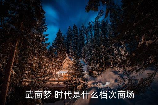  武商夢(mèng) 時(shí)代是什么檔次商場(chǎng)