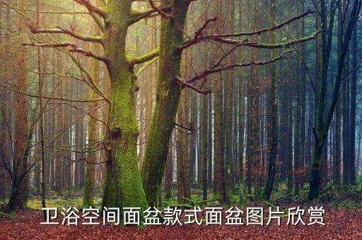 懸浮衛(wèi)浴洗手臺(tái)圖片大全,衛(wèi)浴洗手池圖片
