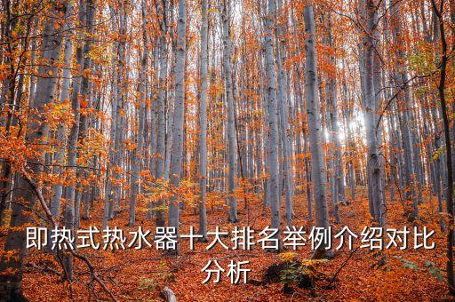  即熱式熱水器十大排名舉例介紹對比分析