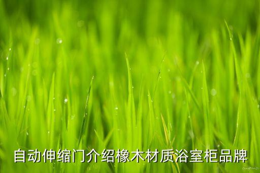 自動(dòng)伸縮門介紹橡木材質(zhì)浴室柜品牌