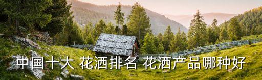 摩美衛(wèi)浴花灑品牌怎么樣,衛(wèi)浴花灑品牌排行榜前十名2021