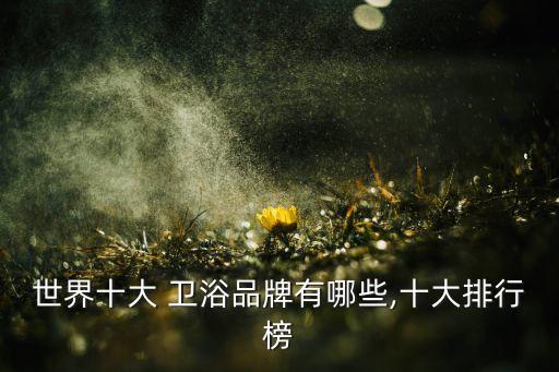 日本衛(wèi)浴品牌有哪些品牌,日本宮碟衛(wèi)浴是幾線品牌