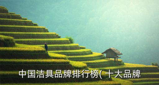 中國潔具品牌排行榜( 十大品牌