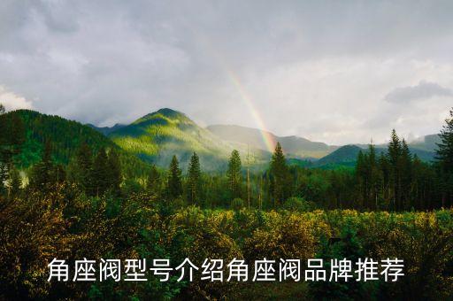 角座閥型號介紹角座閥品牌推薦