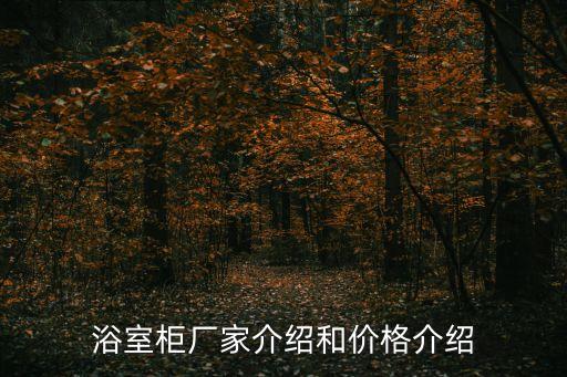 感應(yīng)燈衛(wèi)浴柜安裝圖片及價(jià)格