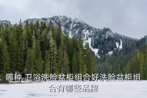 衛(wèi)浴歐式浴室柜,304衛(wèi)浴不銹鋼浴室柜