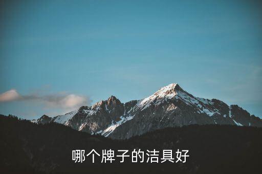 哪個牌子的潔具好