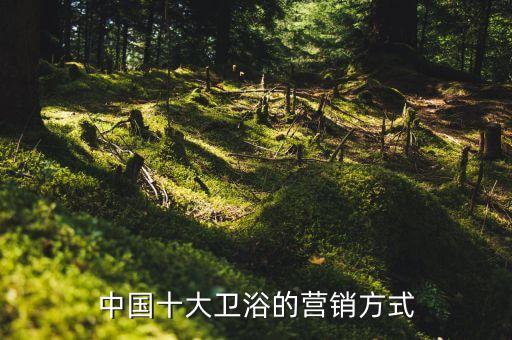 中國十大衛(wèi)浴的營銷方式