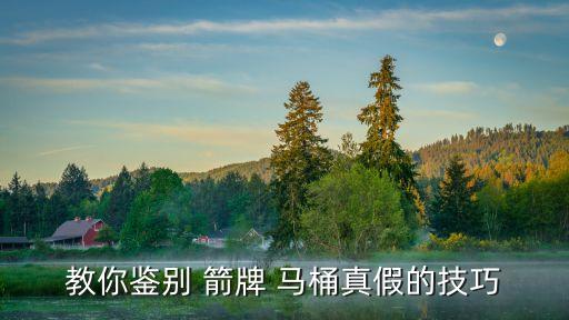 教你鑒別 箭牌 馬桶真假的技巧