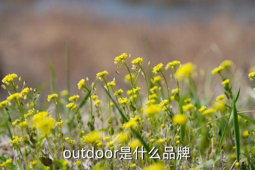進(jìn)口DOOR衛(wèi)浴品牌,進(jìn)口高端衛(wèi)浴品牌排行榜前十名