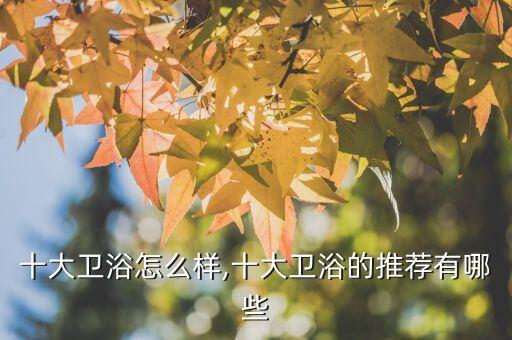 十大衛(wèi)浴怎么樣,十大衛(wèi)浴的推薦有哪些