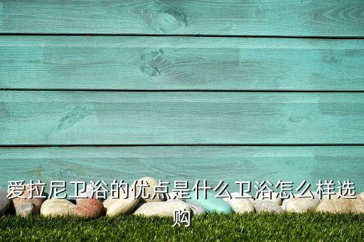 愛拉尼衛(wèi)浴的優(yōu)點是什么衛(wèi)浴怎么樣選購