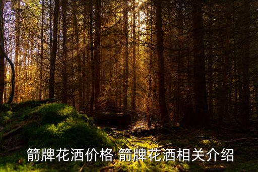  箭牌花灑價格 箭牌花灑相關(guān)介紹
