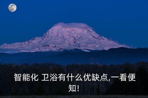  智能化 衛(wèi)浴有什么優(yōu)缺點,一看便知!