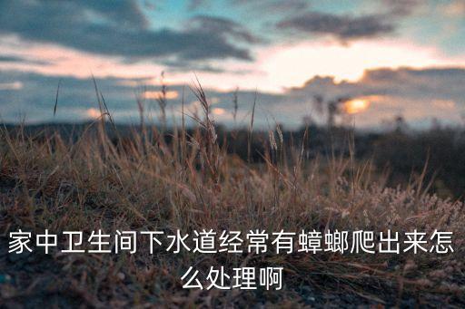 家中衛(wèi)生間下水道經(jīng)常有蟑螂爬出來(lái)怎么處理啊