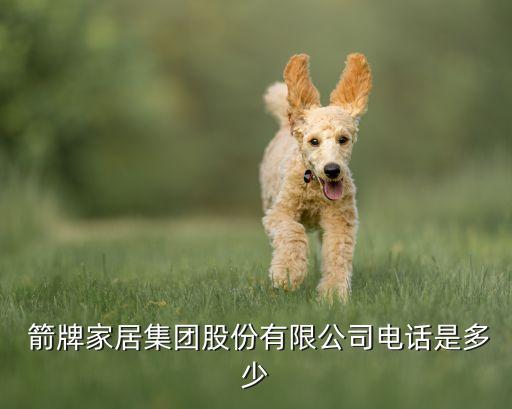 箭牌衛(wèi)浴地址在哪里,懷仁箭牌衛(wèi)浴在哪里