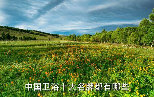 加加衛(wèi)浴屬于大品牌嗎