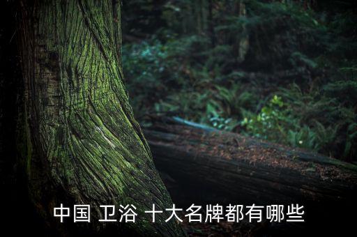 中國 衛(wèi)浴 十大名牌都有哪些