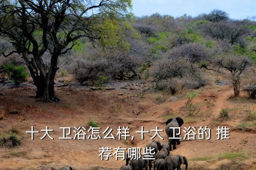 十大 衛(wèi)浴怎么樣,十大 衛(wèi)浴的 推薦有哪些