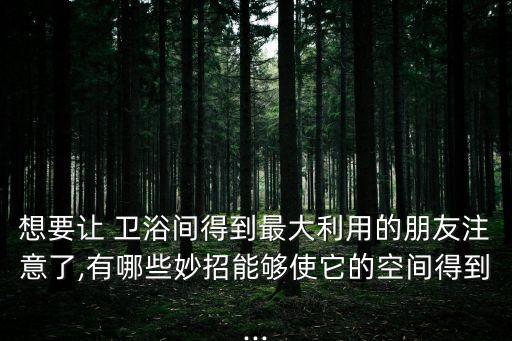 衛(wèi)浴夾層收納方法圖片,冰箱收納分格夾層圖片