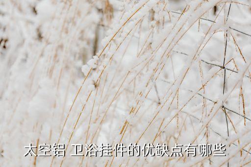 大竹衛(wèi)浴回收電話地址