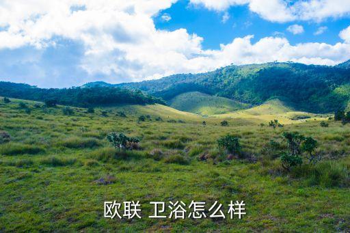 eoeo衛(wèi)浴是品牌嗎