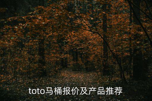 toto馬桶報(bào)價(jià)及產(chǎn)品推薦