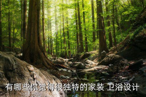 有哪些你覺(jué)得很獨(dú)特的家裝 衛(wèi)浴設(shè)計(jì)