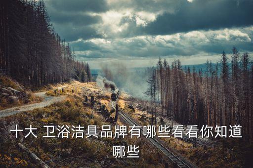 十大 衛(wèi)浴潔具品牌有哪些看看你知道哪些
