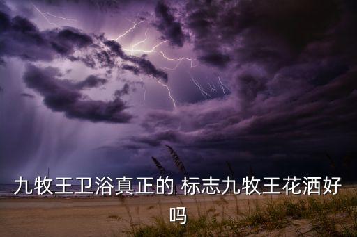 九牧王衛(wèi)浴真正的 標(biāo)志九牧王花灑好嗎