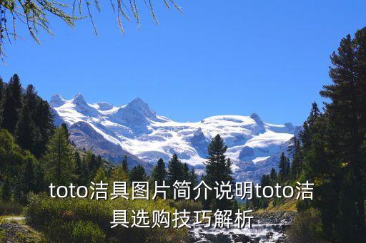 toto潔具圖片簡(jiǎn)介說(shuō)明toto潔具選購(gòu)技巧解析