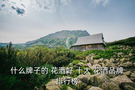 世界品牌衛(wèi)浴花灑十大排名,世界十大高端衛(wèi)浴品牌排行榜