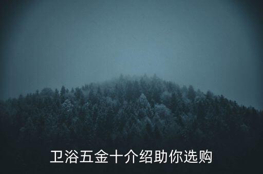 衛(wèi)浴五金十介紹助你選購(gòu)