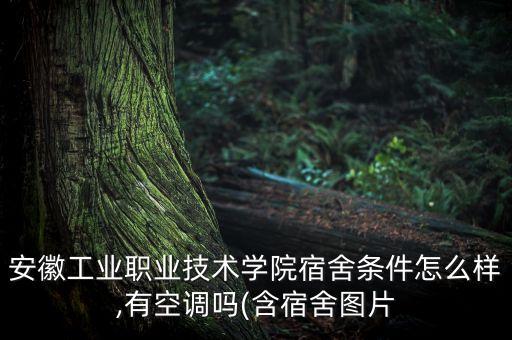 安徽工業(yè)職業(yè)技術(shù)學(xué)院宿舍條件怎么樣,有空調(diào)嗎(含宿舍圖片